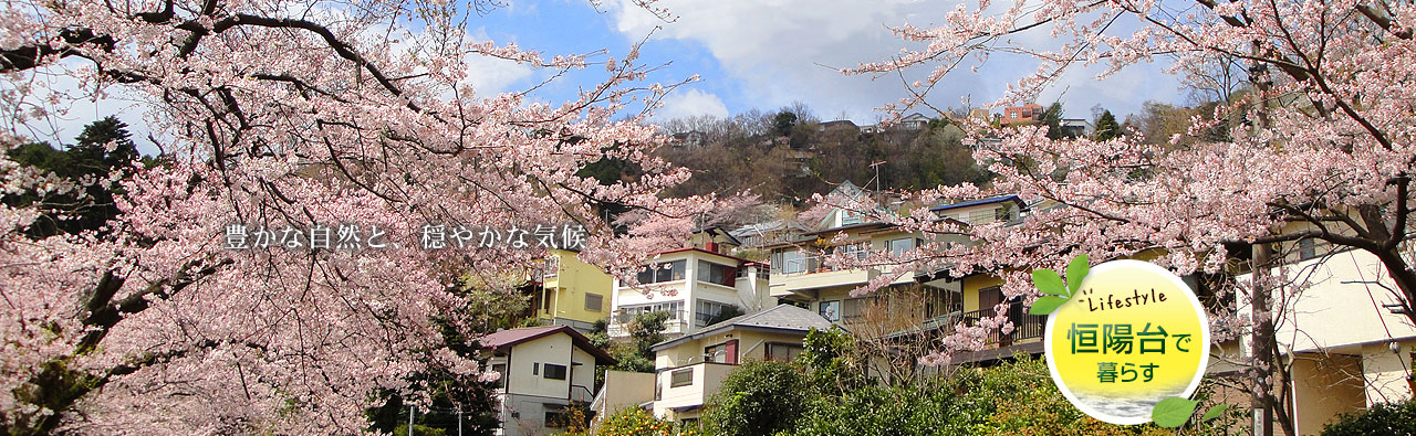 ここに流れているのは、心地良い空気です。